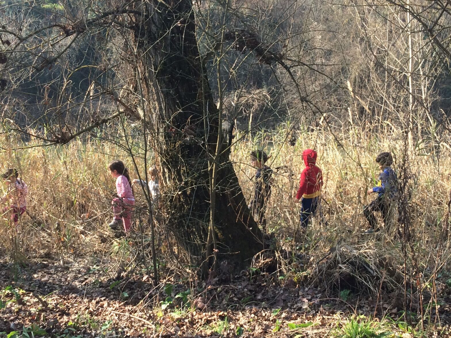 Bambini che camminano nell'erba alta, calmi e a loro agio